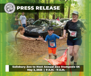 salisbury zoo annual stampede 5K