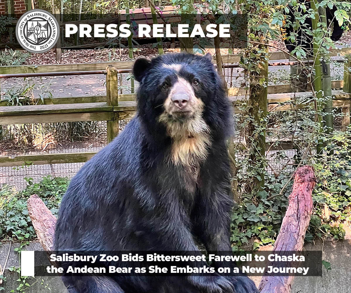 Press-Releases-
