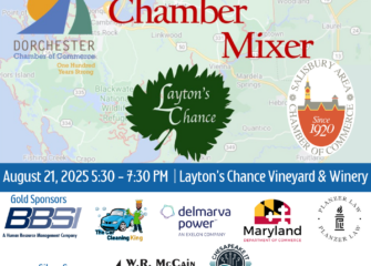 The SACC and Dorchester Chambers of Commerce to Host Joint Mixer