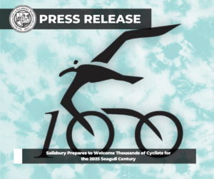 seagull-century