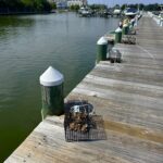 Hyatt Regency Chesapeake Bay Oyster Garden 3-min