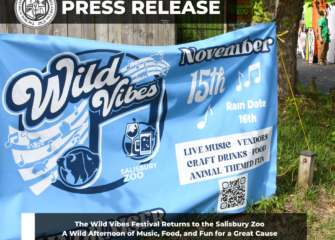 The Wild Vibes Festival Returns to the Salisbury Zoo