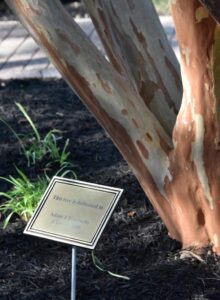 memorial-garden-james-m-bennet (1)