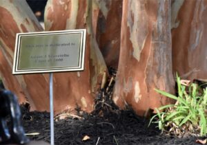memorial-garden-james-m-bennet (10)