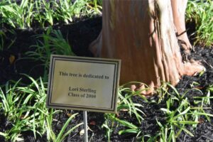 memorial-garden-james-m-bennet (40)