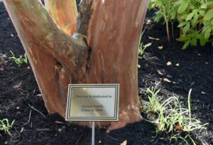 memorial-garden-james-m-bennet (41)