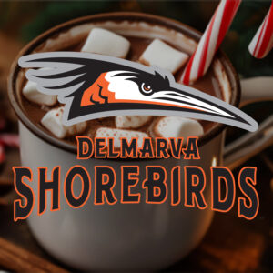 Christmas - Delmarva Shorebirds