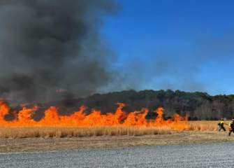 Prescribed Burn planned for former Bay Club in early November Prescribed Burn planned for former Bay Club in early November