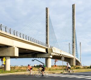 bike-cruise (1) bike-cruise (1)