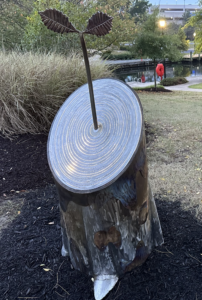 salisbury-prize-call