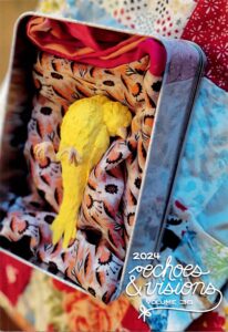 Echoes and Visions Cover.