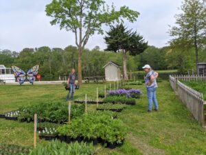 observing-inventory (1) Two women in a garden outside.