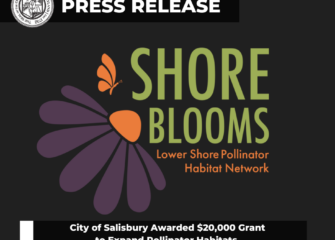 City of Salisbury Awarded $20,000 Grant to Expand Pollinator Habitats