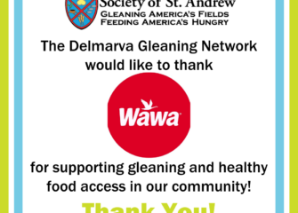 Society of St. Andrew Receives Grant from Wawa to Provide 60,000 Servings of Fresh, Healthy Food to Local Communities