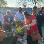 picking-plants-outside picking-plants-outside