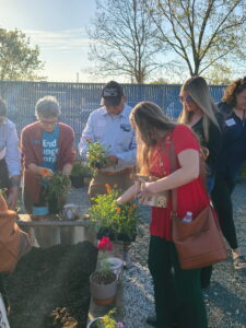 picking-plants-outside