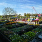 variety-of-plants variety-of-plants