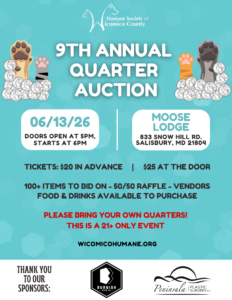 annual-quarter-auction