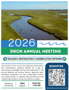 drnc