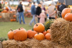Bright orange pumpkins and hay bales arranged outdoors at a busy autumn festival, with blurred figures of people walking in the background.