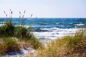 tidal-health-september-events (1) (1) tidal-health-september-events (1) (1)