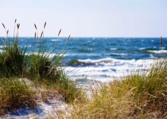 TidalHealth community health events for September 2026